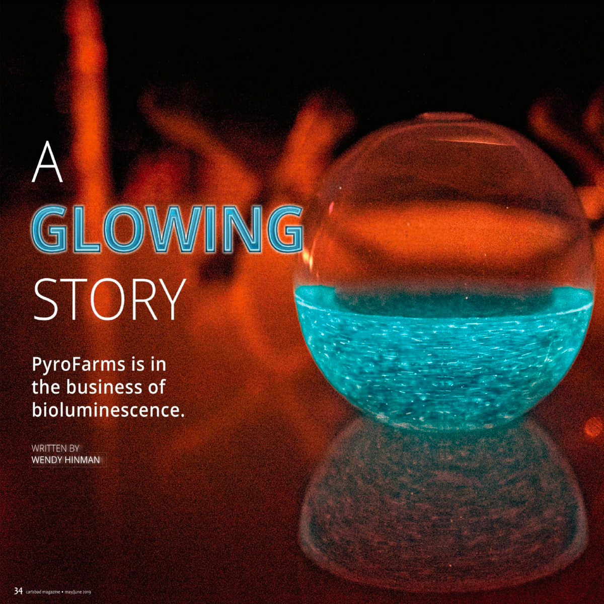 Illuminating the Depths: Exploring the World of Deep Sea Bioluminescen