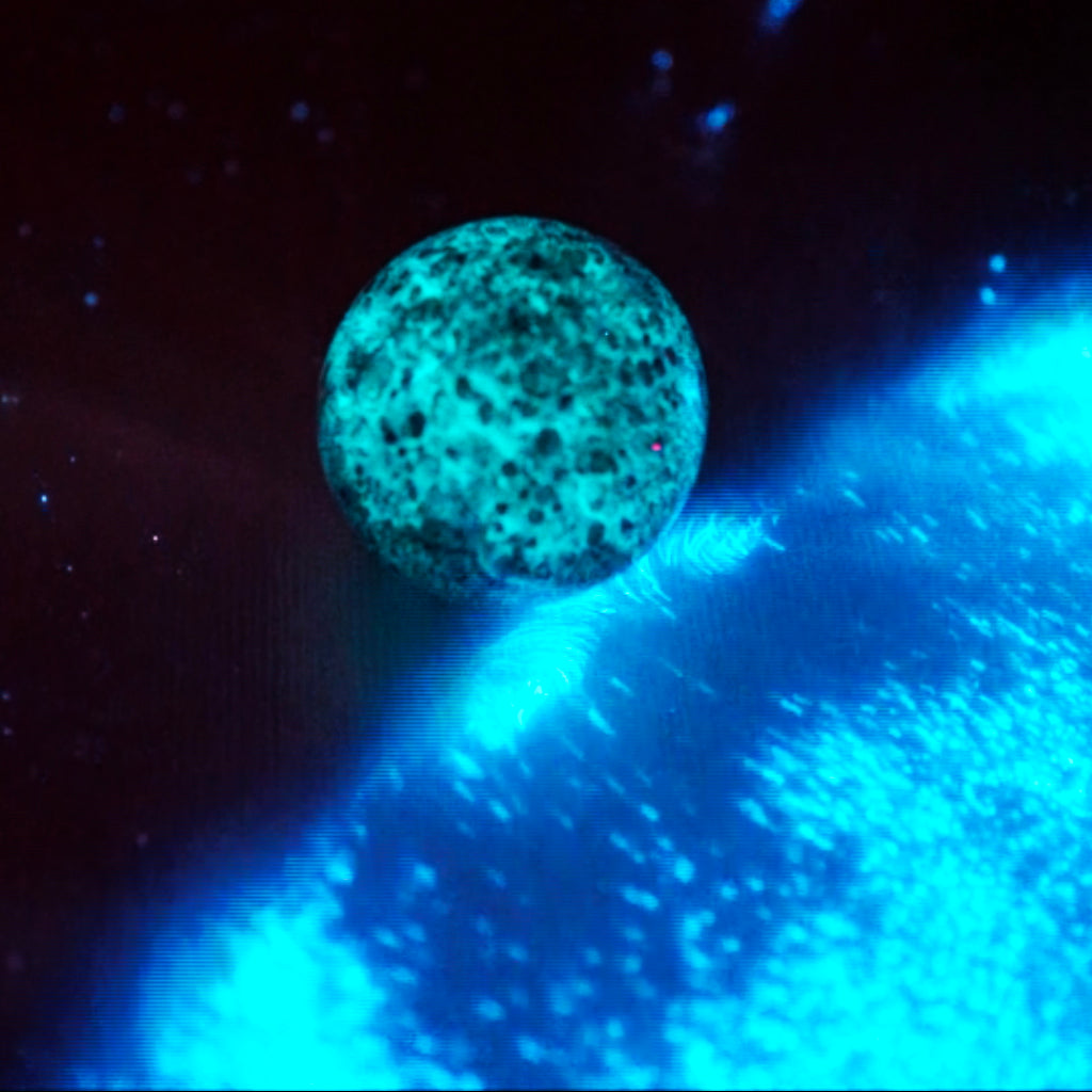 The difference between Phosphorescence, Fluorescence and Bioluminescence