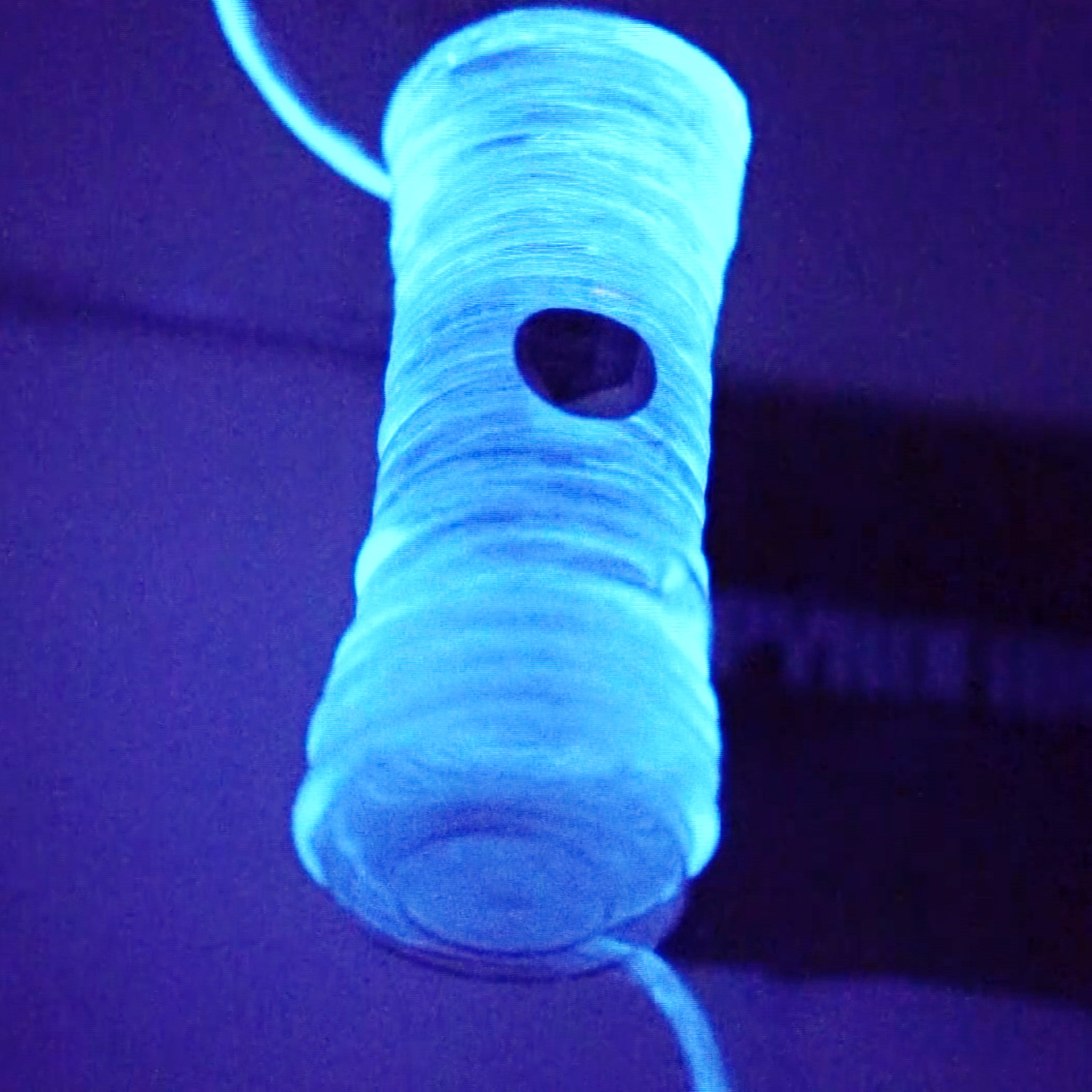 The Bio-Light - A natural renewable light source