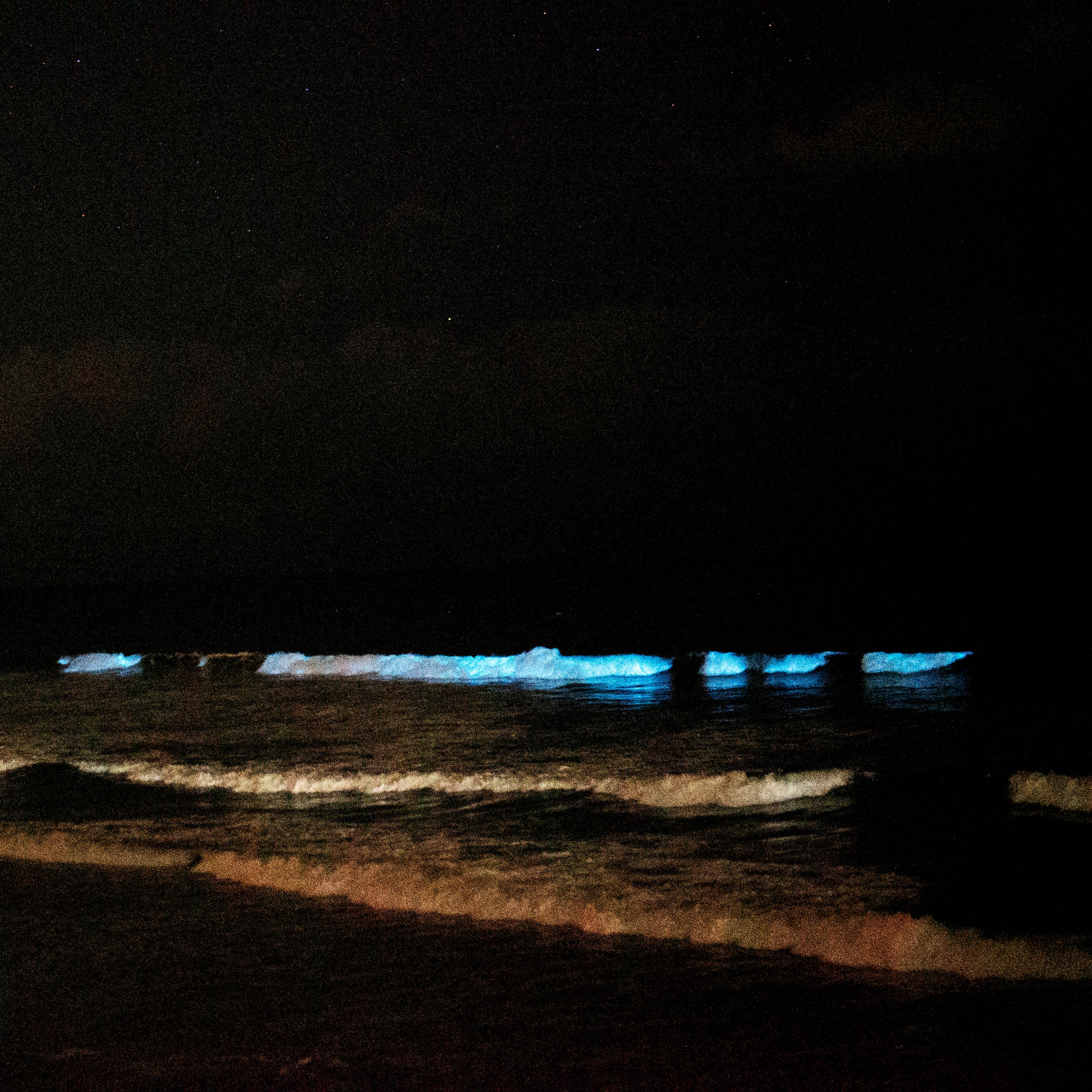 Bioluminescent Bloom in San Diego, CA