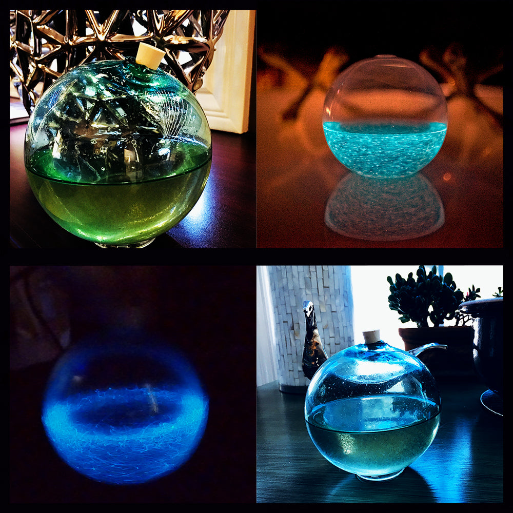 Bio Orb - dinoflagellate micro-aquarium