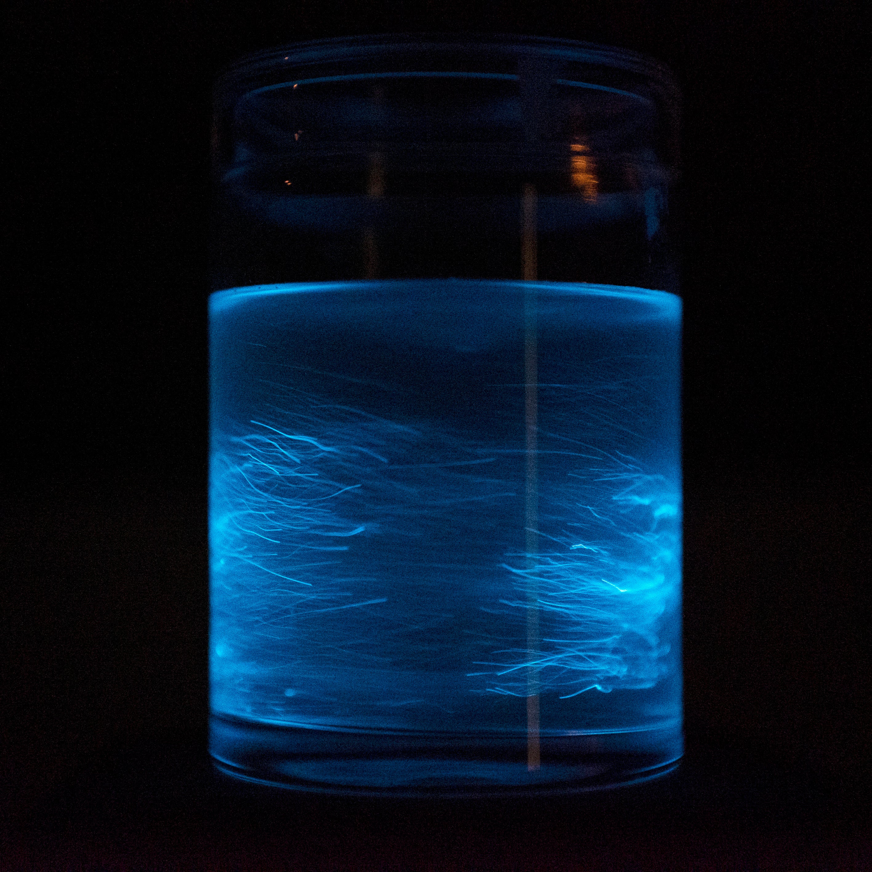 Bio-Light a sustainable light source