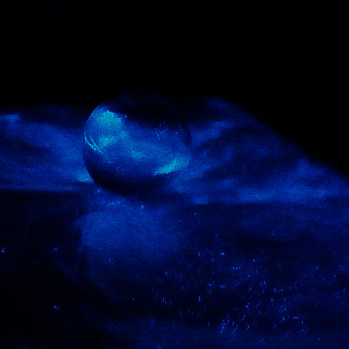 Illuminating the Depths: Exploring the World of Deep Sea Bioluminescen