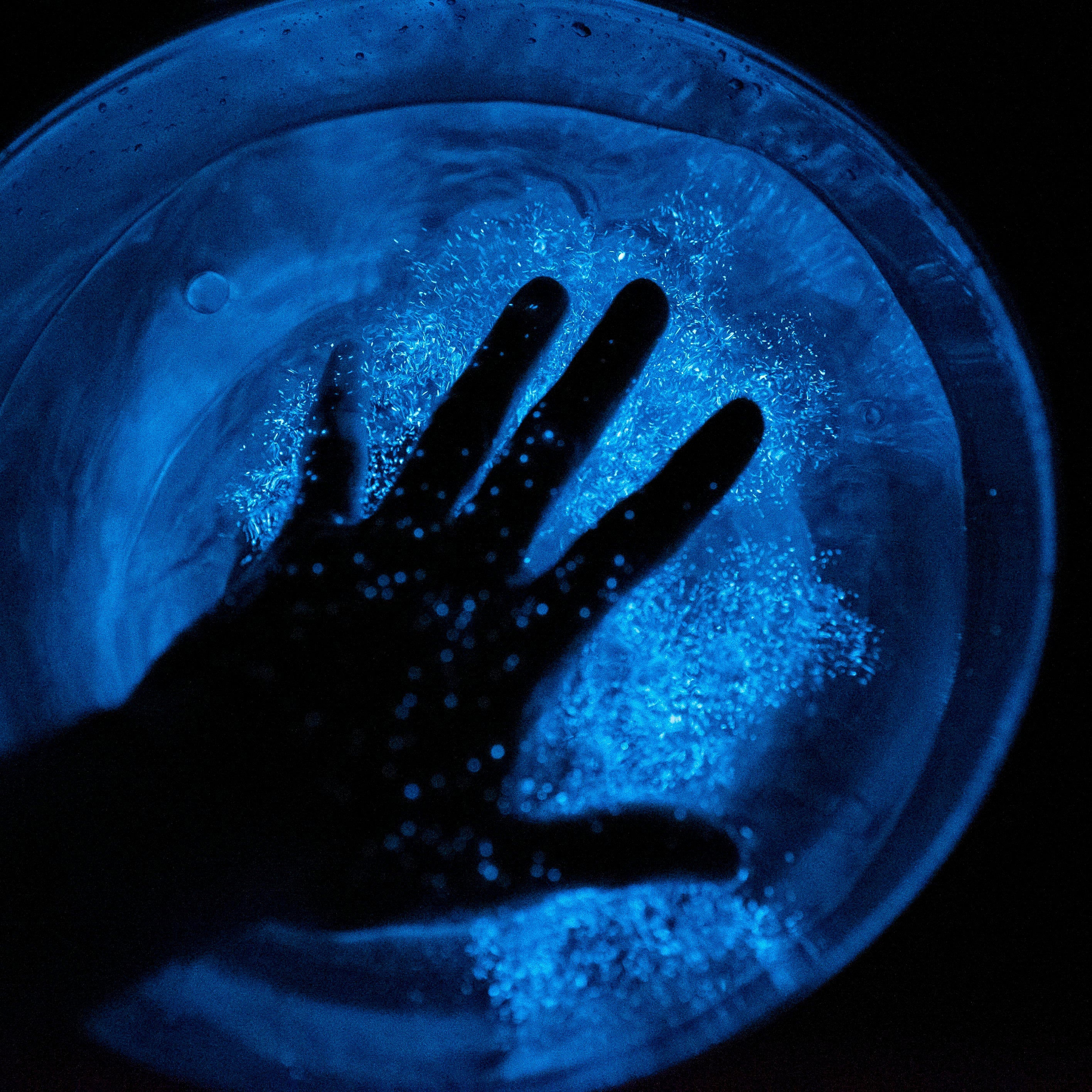 Experience Living Light at a PyroFarms Night Tour