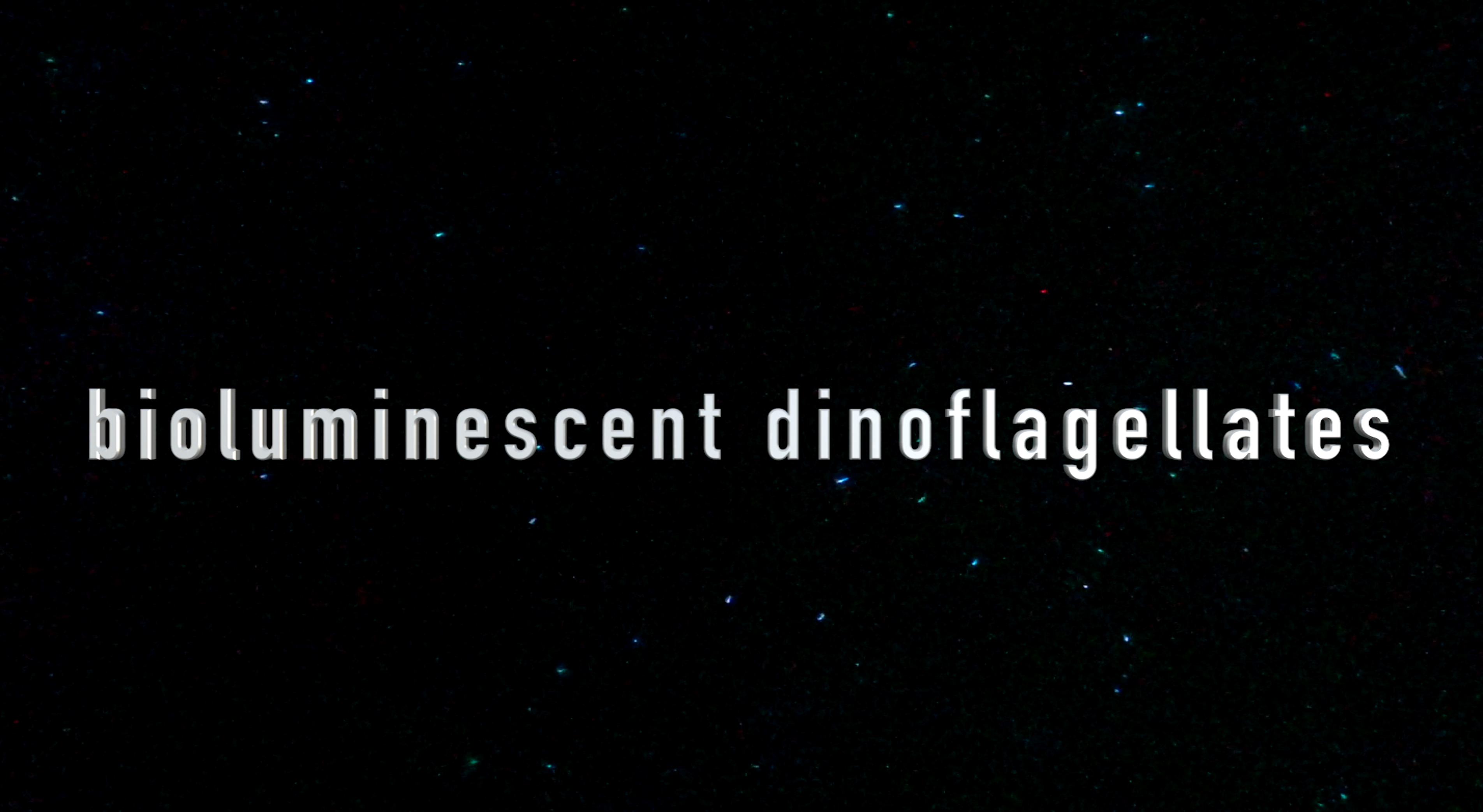 PyroDinos dinoflagellates