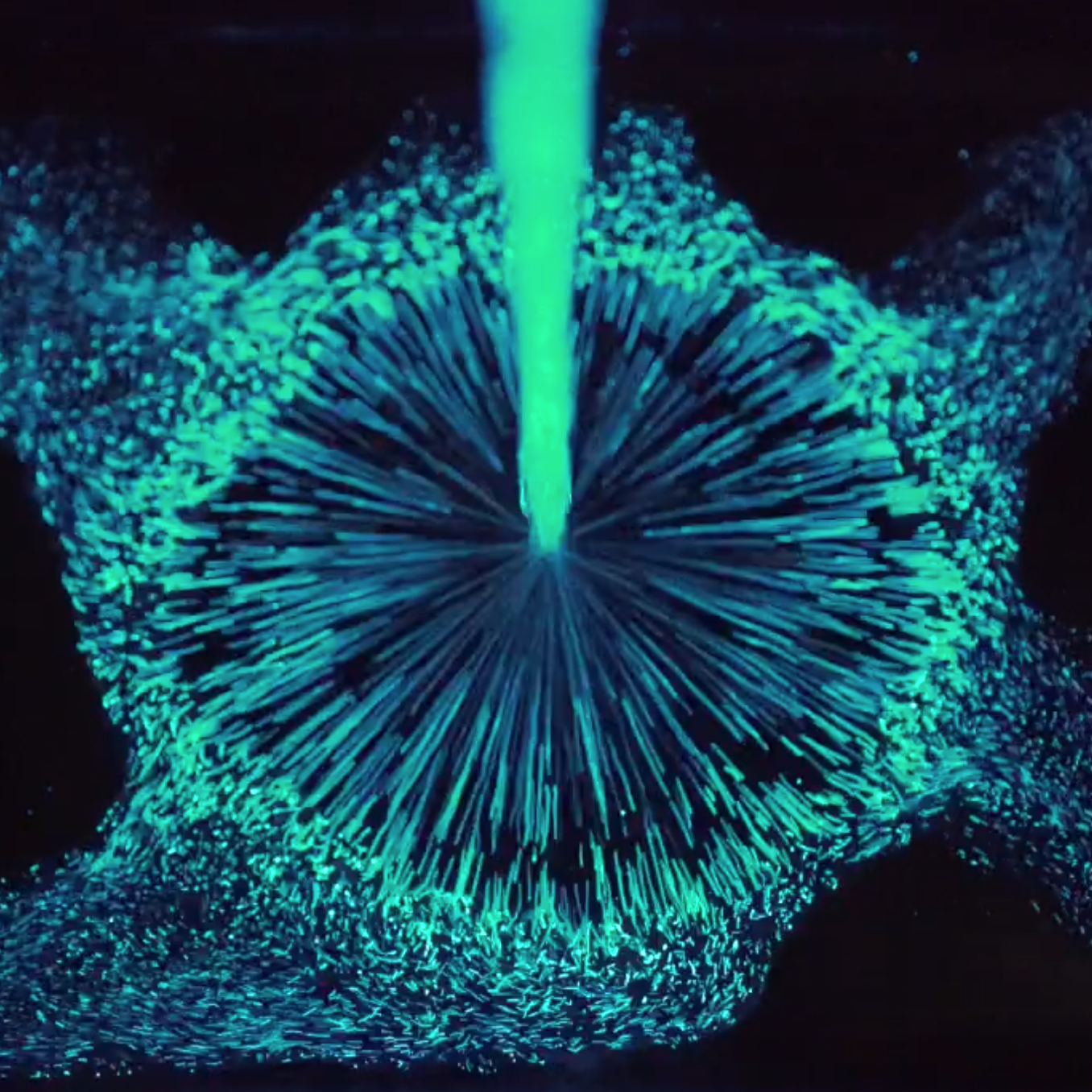 Living Light in Motion: Watch PyroFarms’ Bioluminescent PyroDinos Come Alive