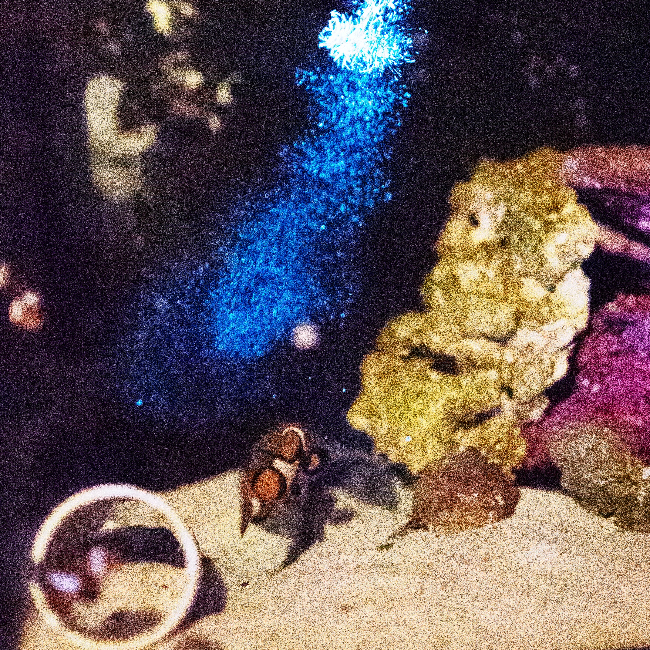 Natural Plankton Bioluminescence in Saltwater Aquariums: Adding PyroDinos