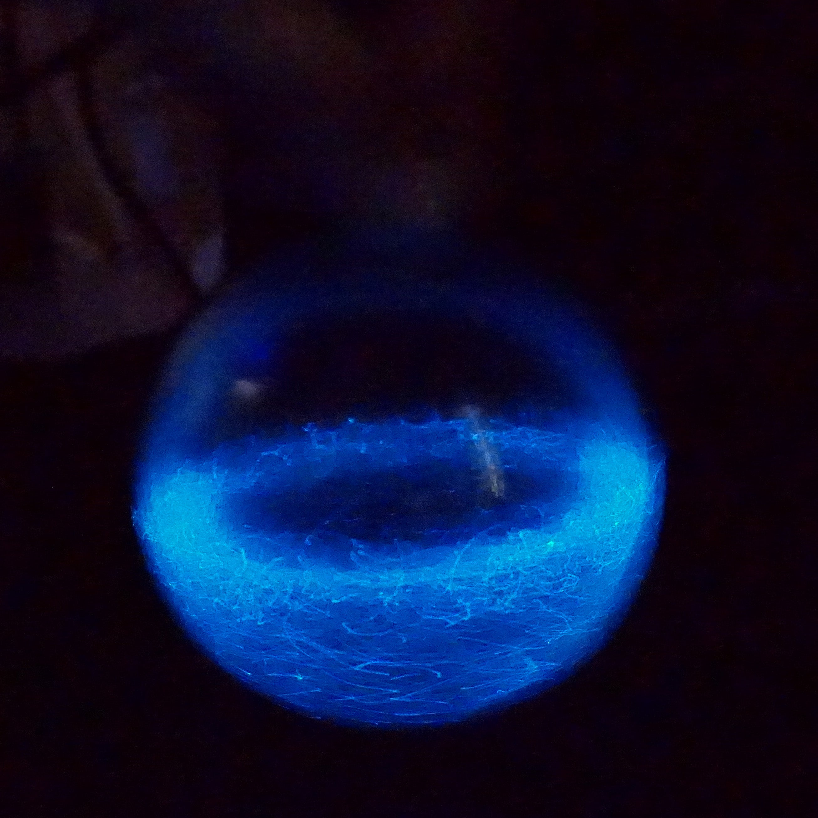 The Bio Orb