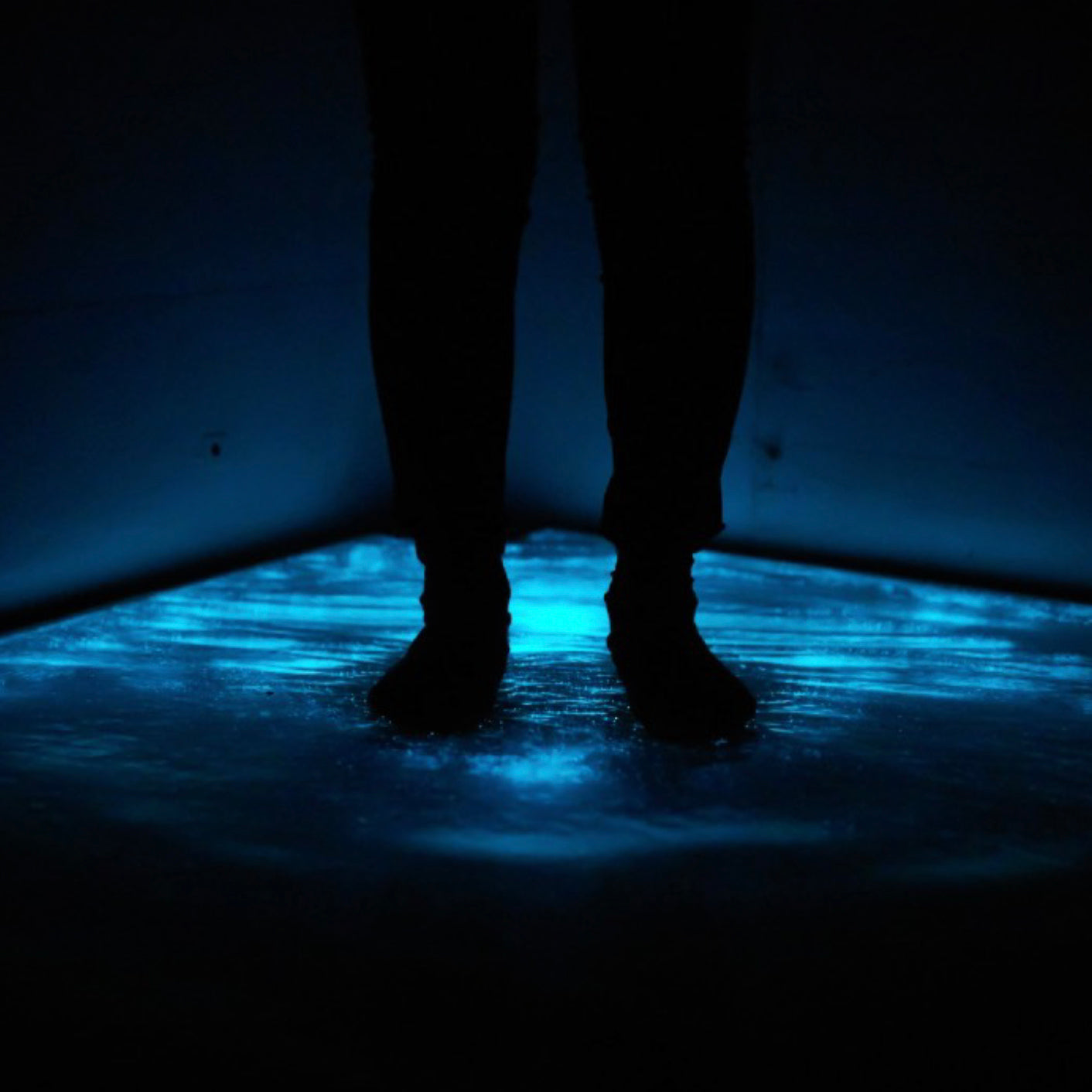 Glowing Nature exhibit in the Netherlands