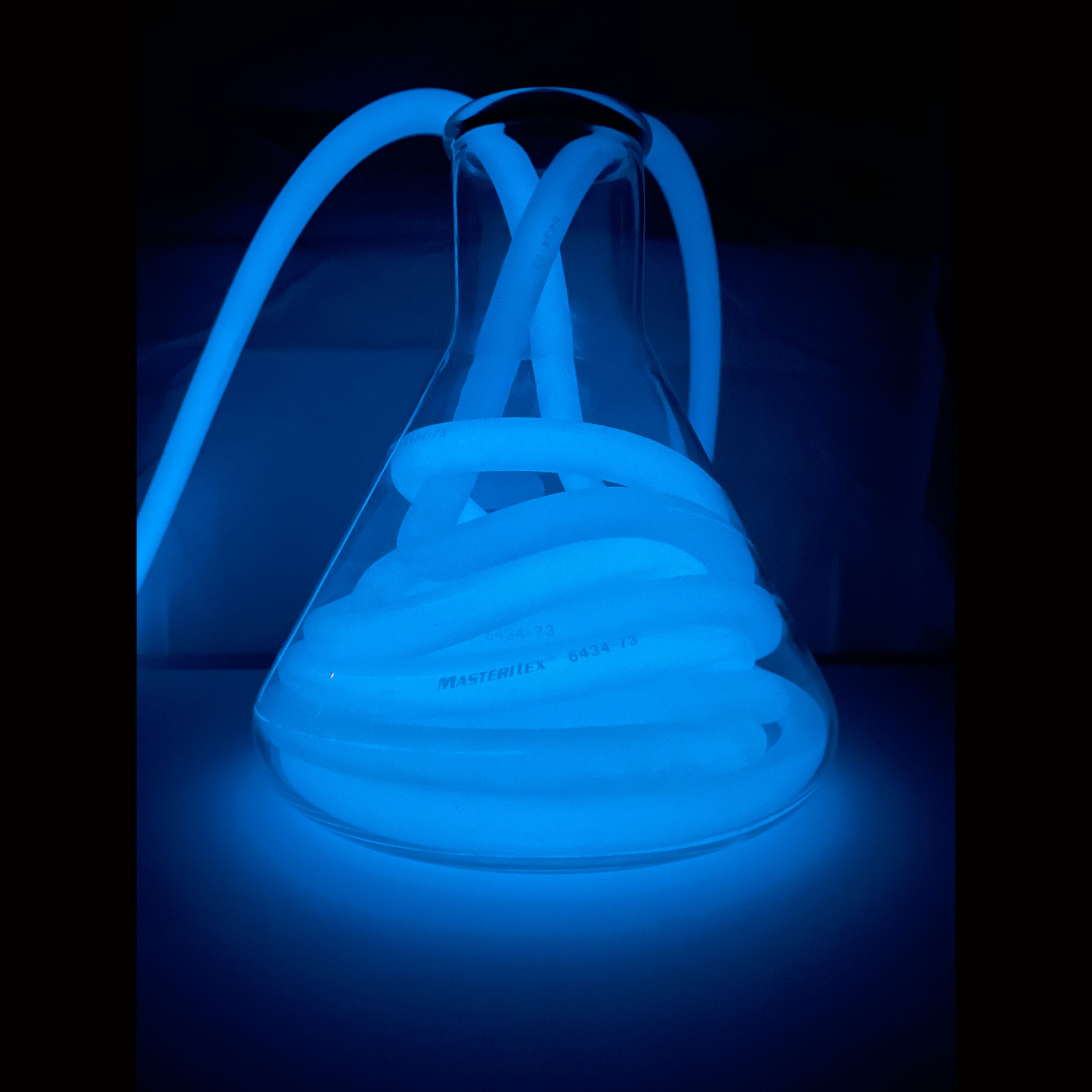 Illuminate Your World: PyroFarms Night Tour Sheds Light on the Magic of Bioluminescence!