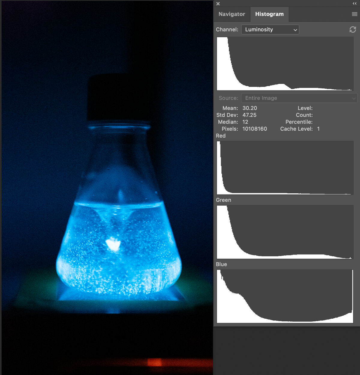 Comparing Relative Bioluminescence: Using the Power of DSLR Cameras to