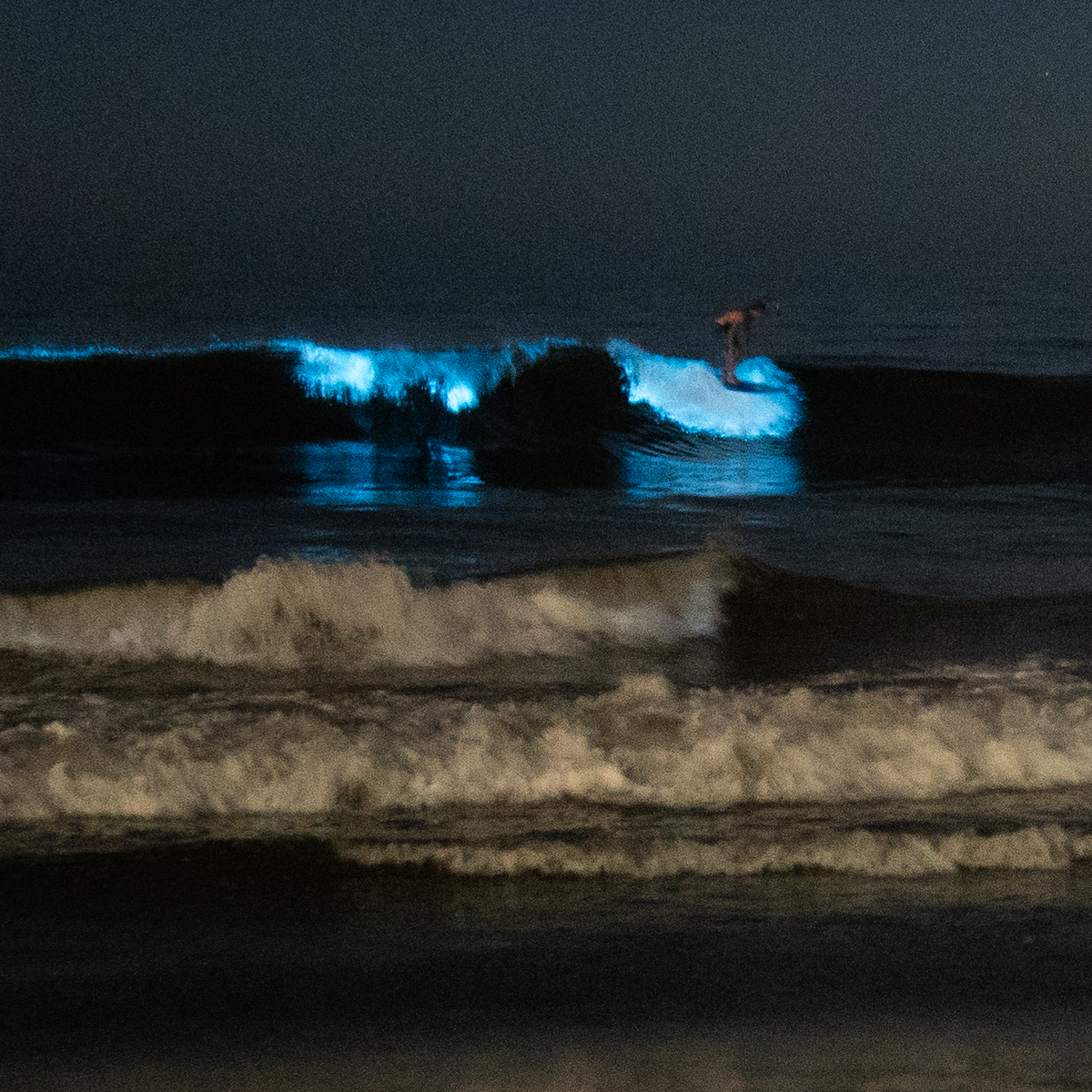 What's causing California's ocean waves to glow?