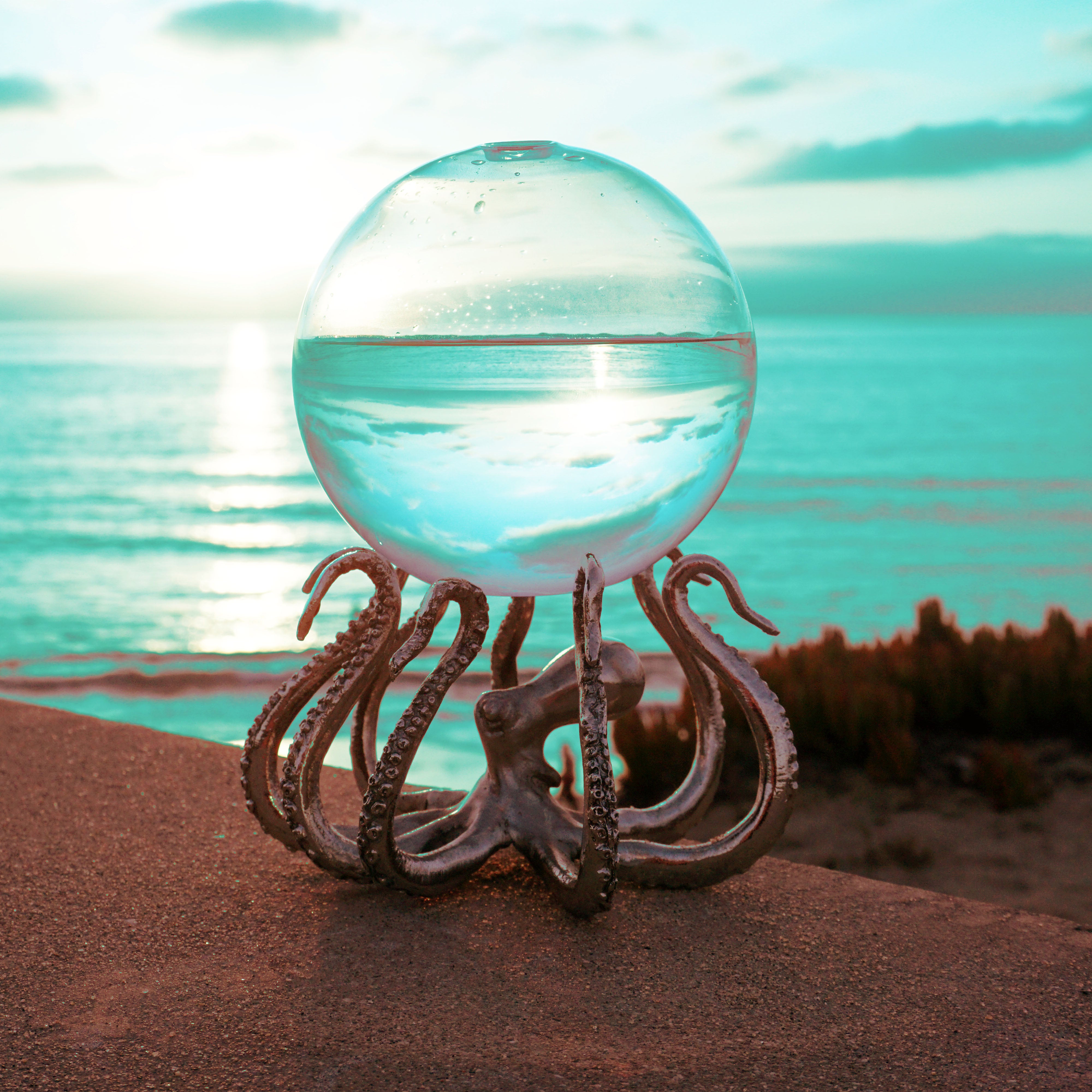 Best of the OctoStand Bio-Orb