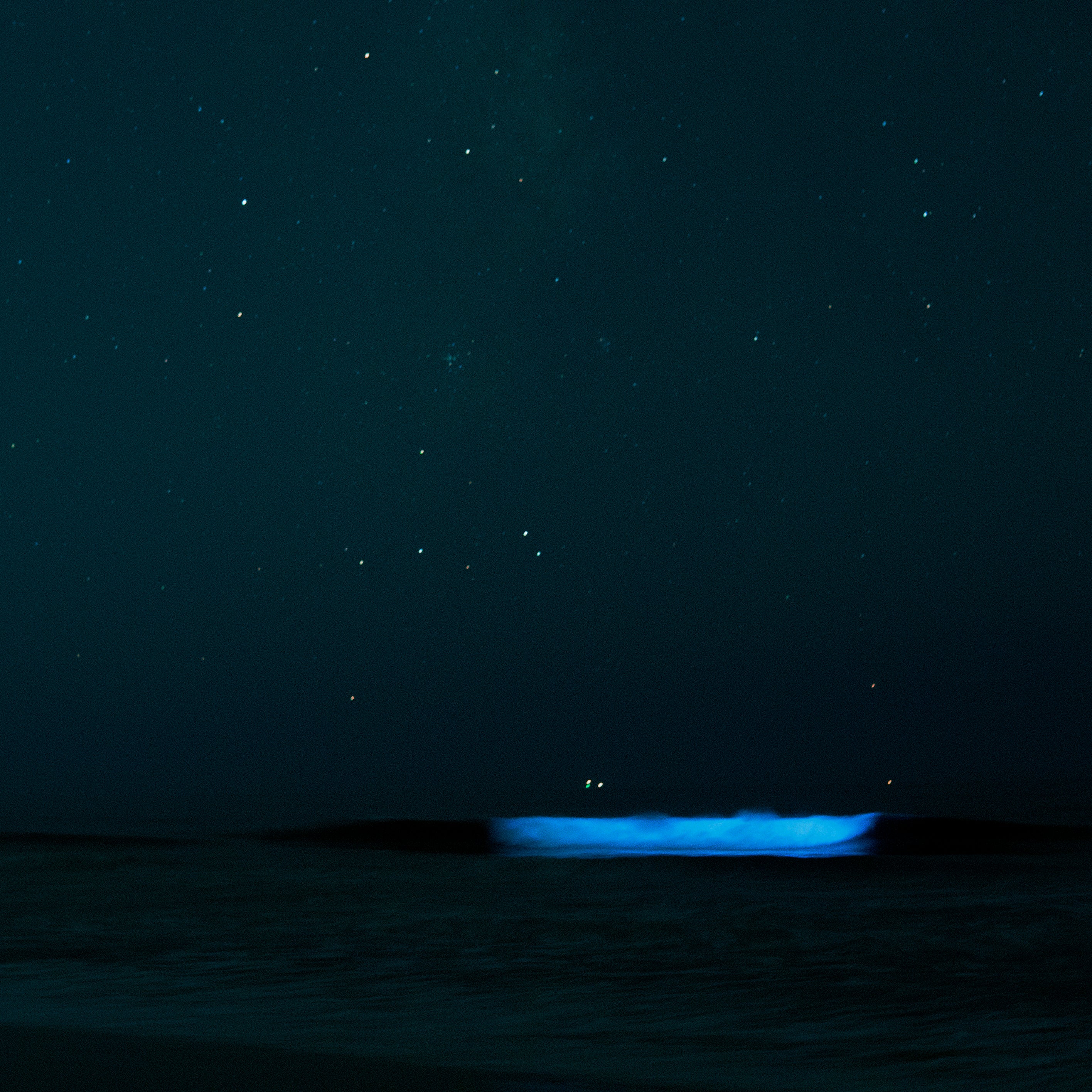 Bioluminescent Algae Bloom off the coast of San Diego