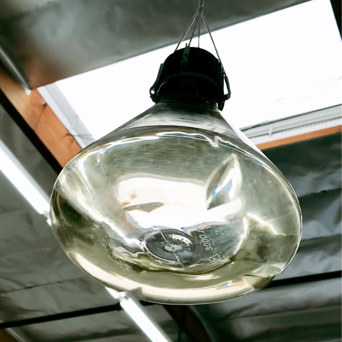 UFO? or new Bio-Light prototype