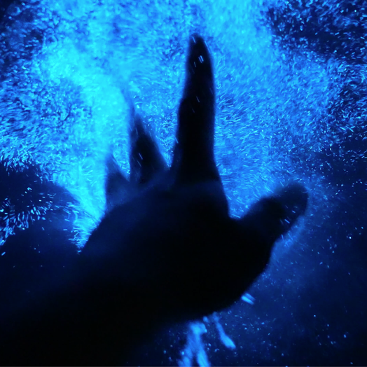 Aquarium of the Pacific ‘Night Dive’ spotlights glowing bioluminescent waves - www.presstelegram.com