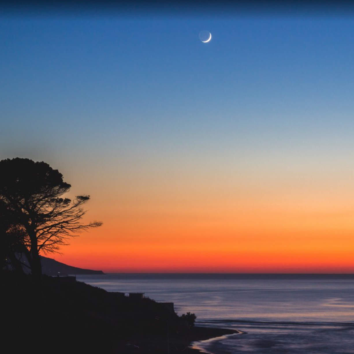 The Mysterious Ocean: Exploring its Depths, Currents, and Ecosystems