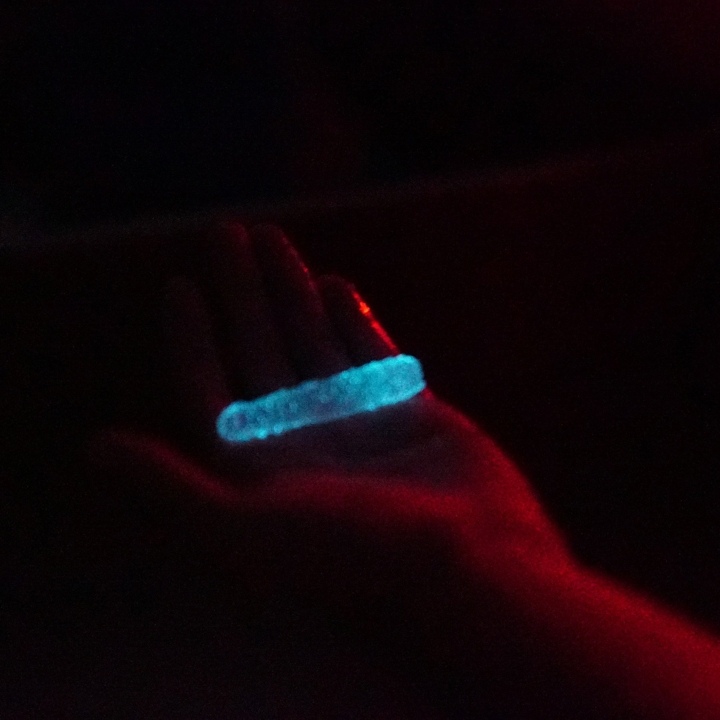 A Magical Night at Sea: The Ocean Institute's Bioluminescent Night Cruise