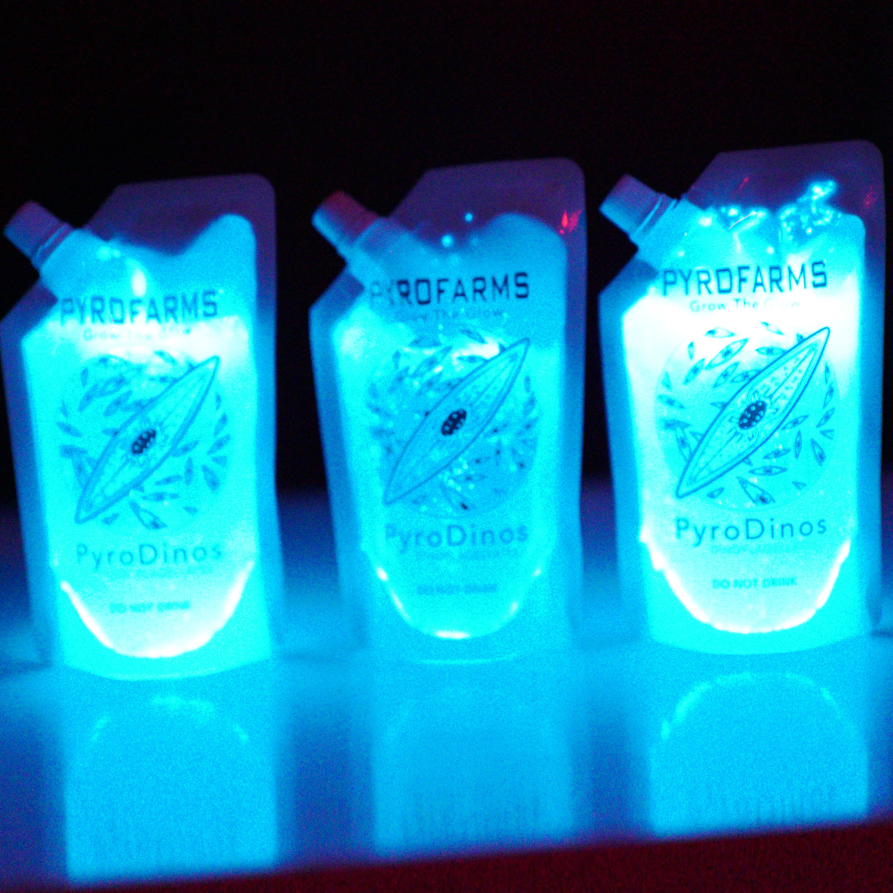 pyrodinos bioluminescent dinoflagellates 3 pack