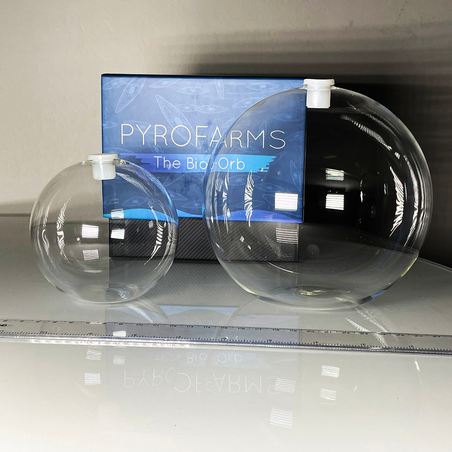 glass sphere with flat bottom bio-orb glass sphere