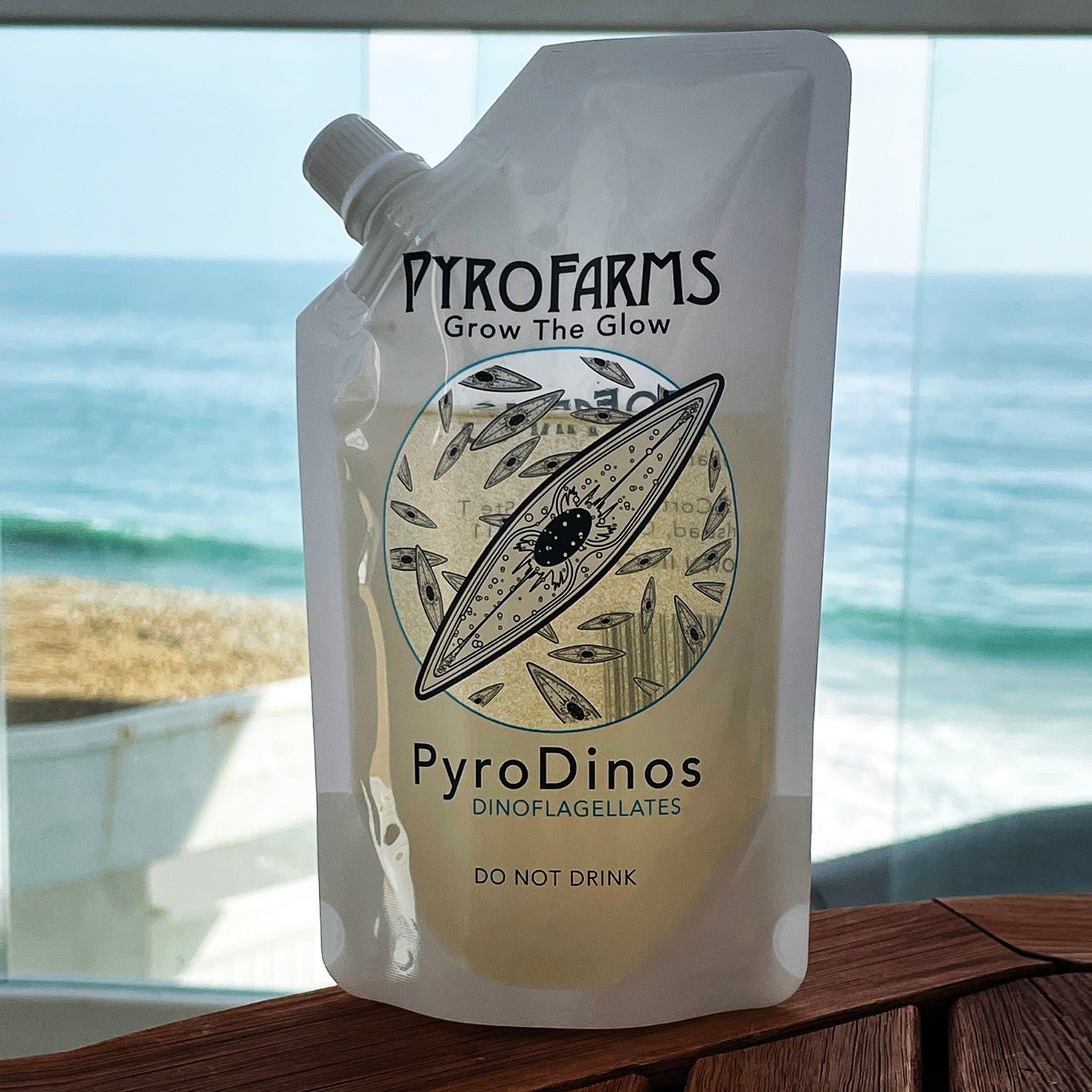 PyroDinos daytime image at beach