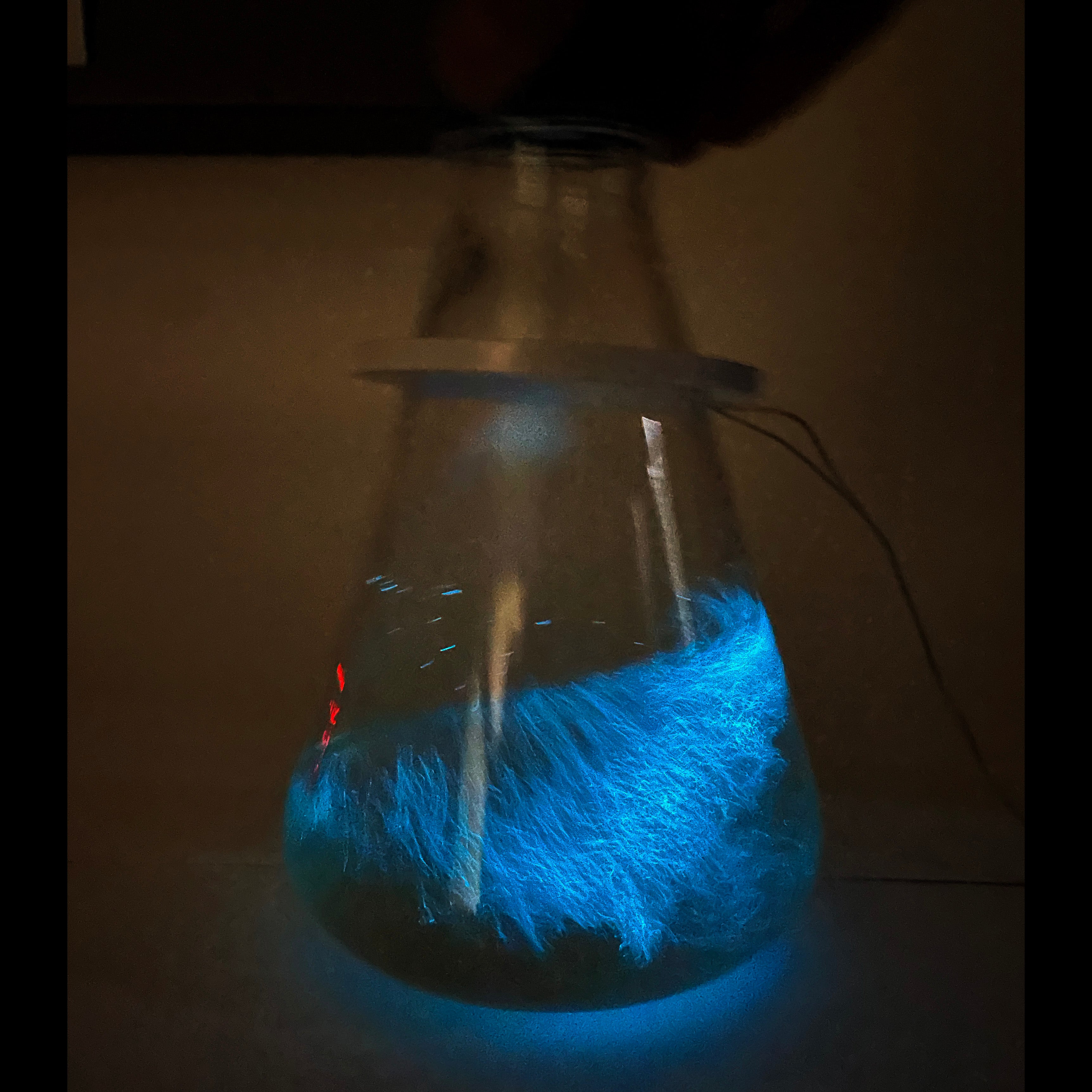 GrowPro PLUS Flask at Night. For growing large volumes of PyroDinos