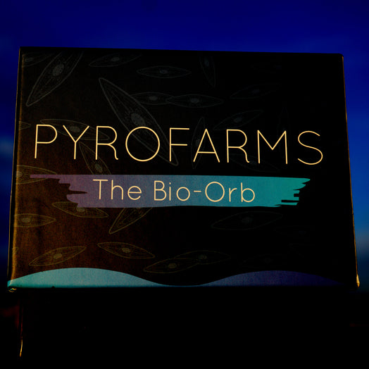 Bio-Orb box at night