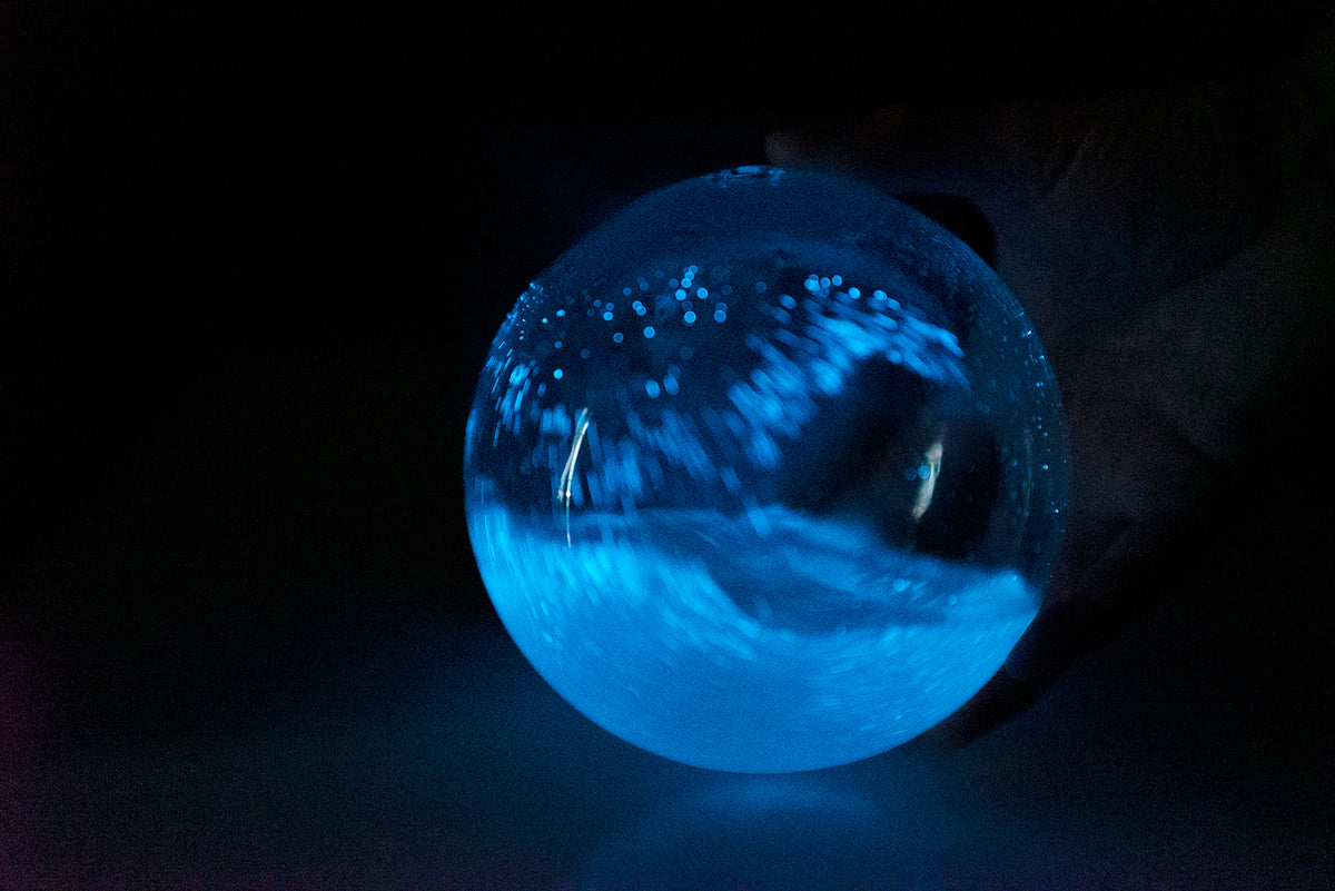  Bioluminescent Bio-Orb with OctoStand  A Glowing,  Bioluminescent Pet That Doubles as an Art Piece : Toys & Games
