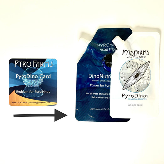 PyroDino card for redeeming bioluminescent plankton