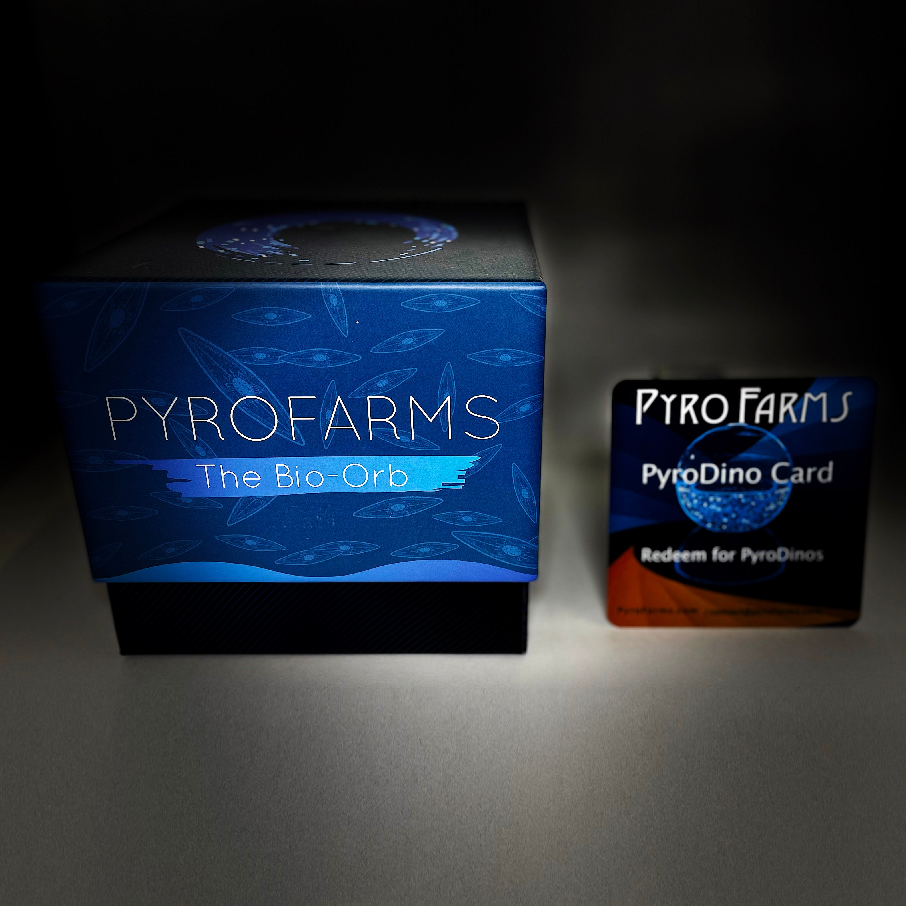 Large Bio-Orb packaging box