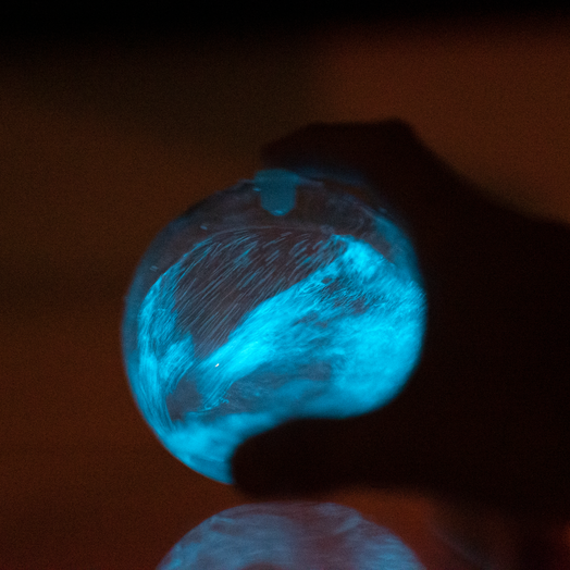 Bio-Orb swril hand bioluminsecence reflaction table nighttime algae glow