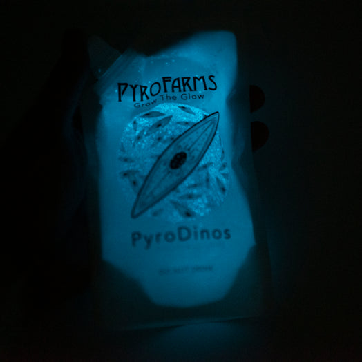 bioluminescent PyroDinos at night in the dark