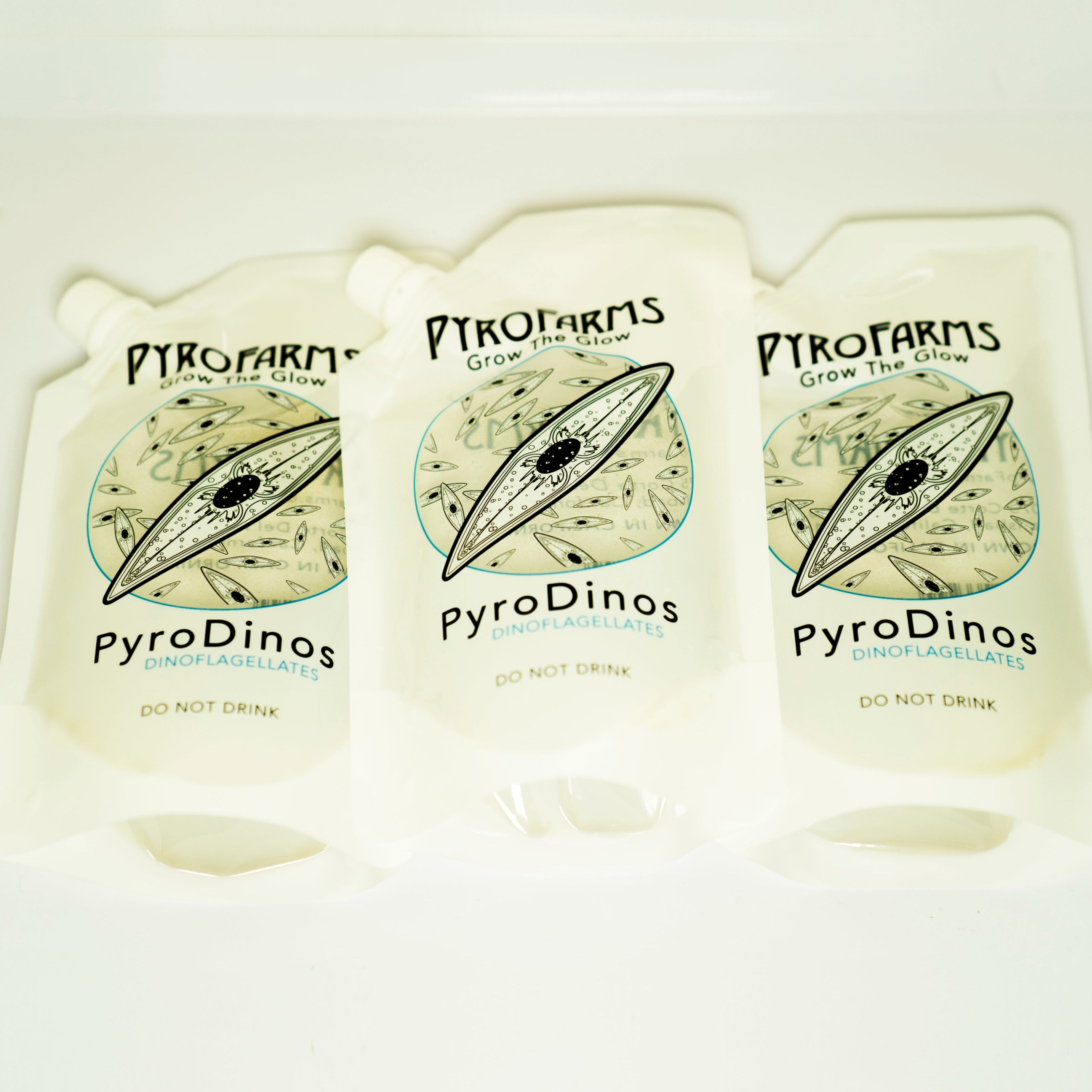 PyroDino 3 pack bioluminescent dinoflagellates daytime image