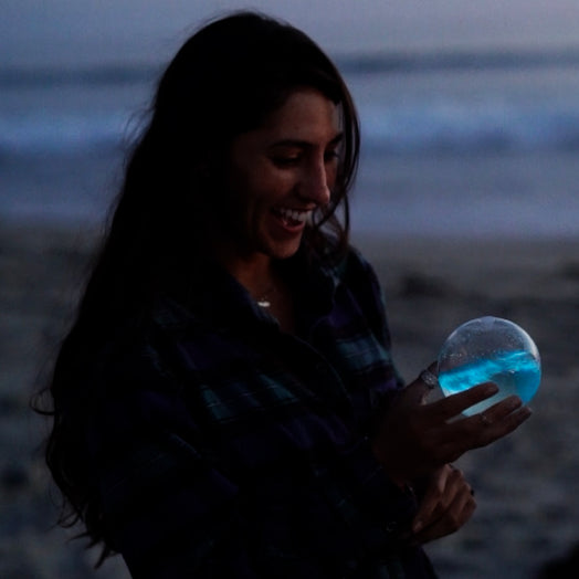 An evening at the beach with The Bioluminescent Bio-Orb