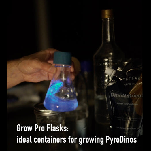 Grow your Own PyroDinos