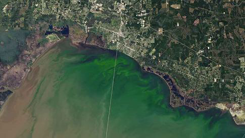 Satellite images algae bloom on Lake Ponchartrain