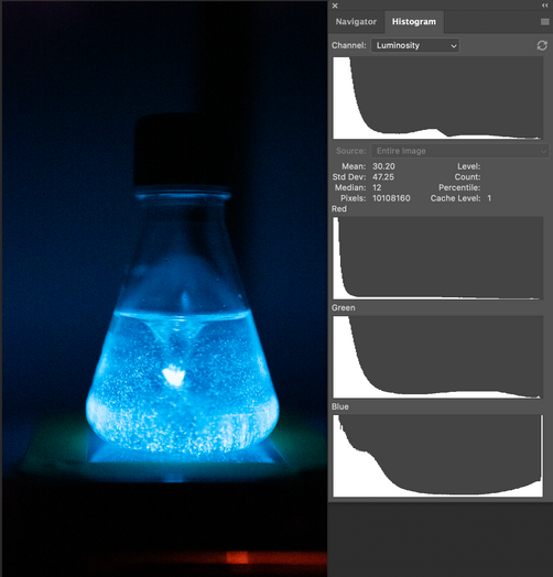 Comparing Relative Bioluminescence: Using the Power of DSLR Cameras to measure bioluminescence