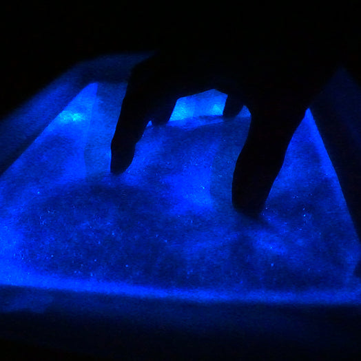 The Dino-Tile bioluminescence