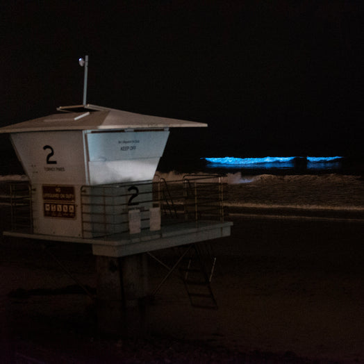 Bioluminescence hits the beach in San Diego (Video)