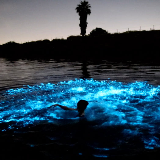Mermaid frolicks in bioluminescent bay