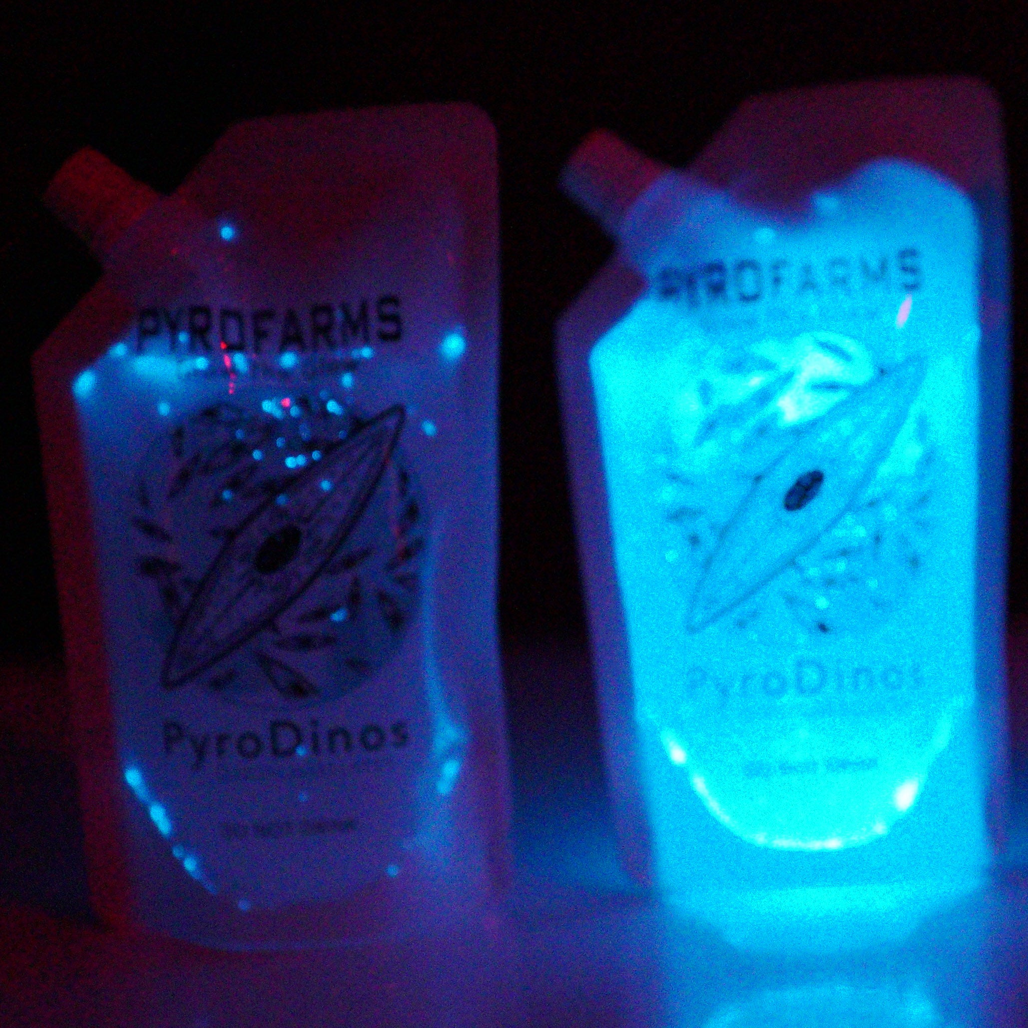 PyroDinos -3 pack- (600ml) Bioluminescent Dinoflagellates (microalgae)