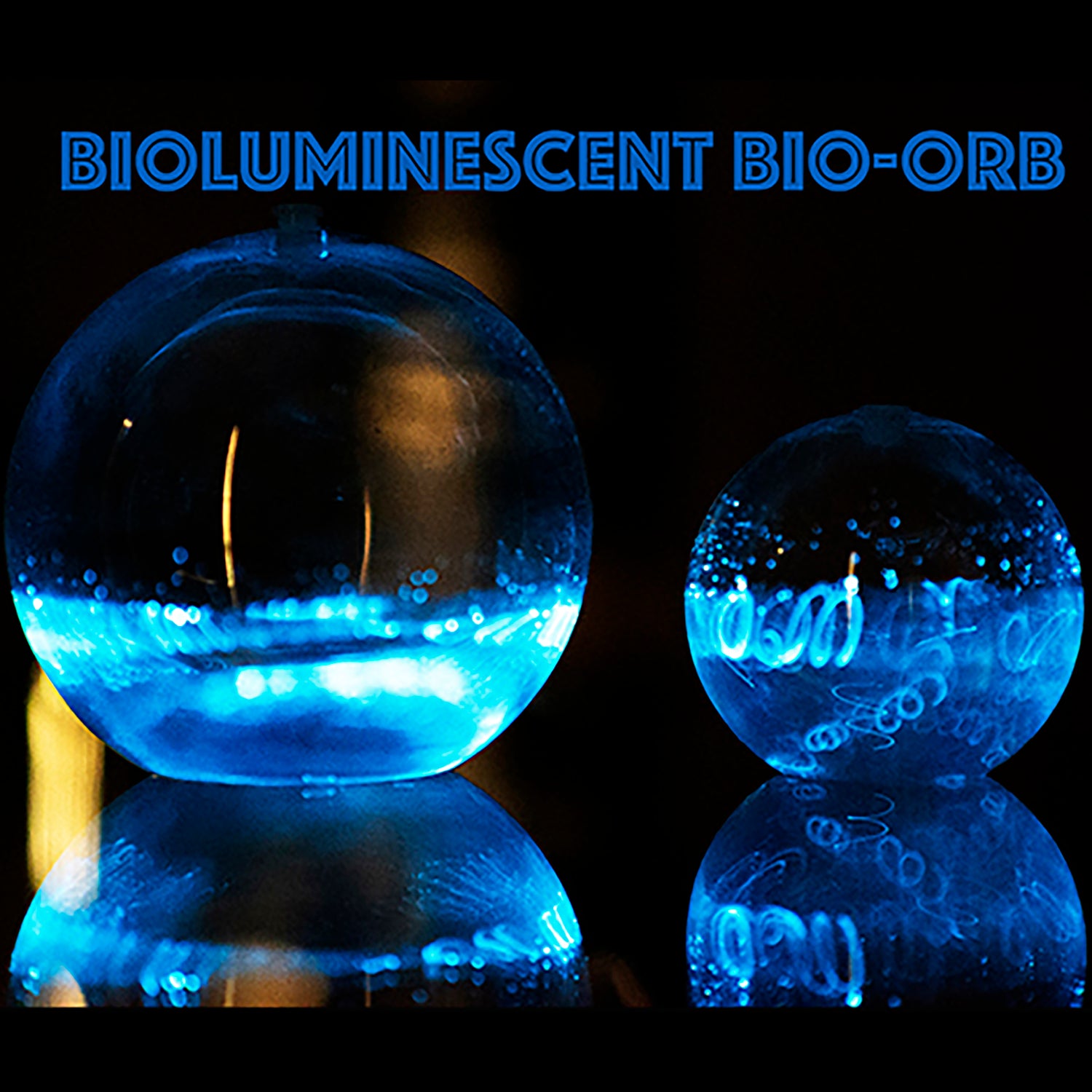 Large Bioluminescent Bio-Orb: A Living Light Aquarium