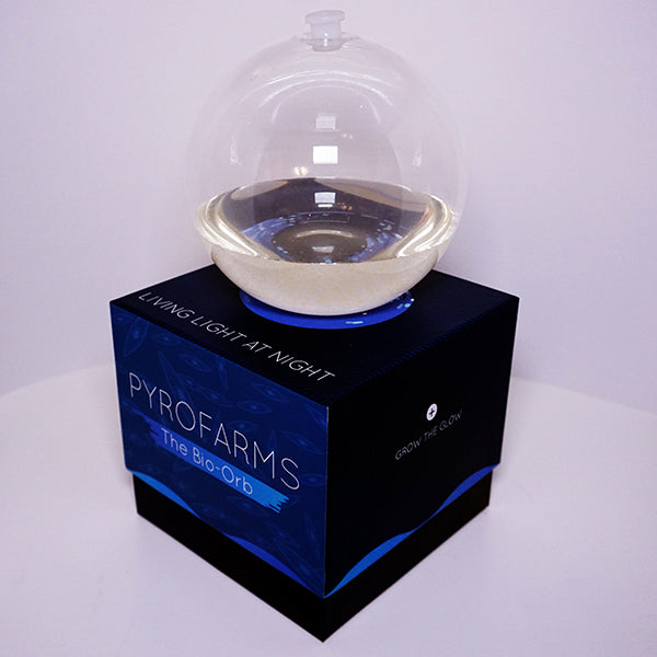 Bioluminescent Bio-Orb (Large) Limited Sale