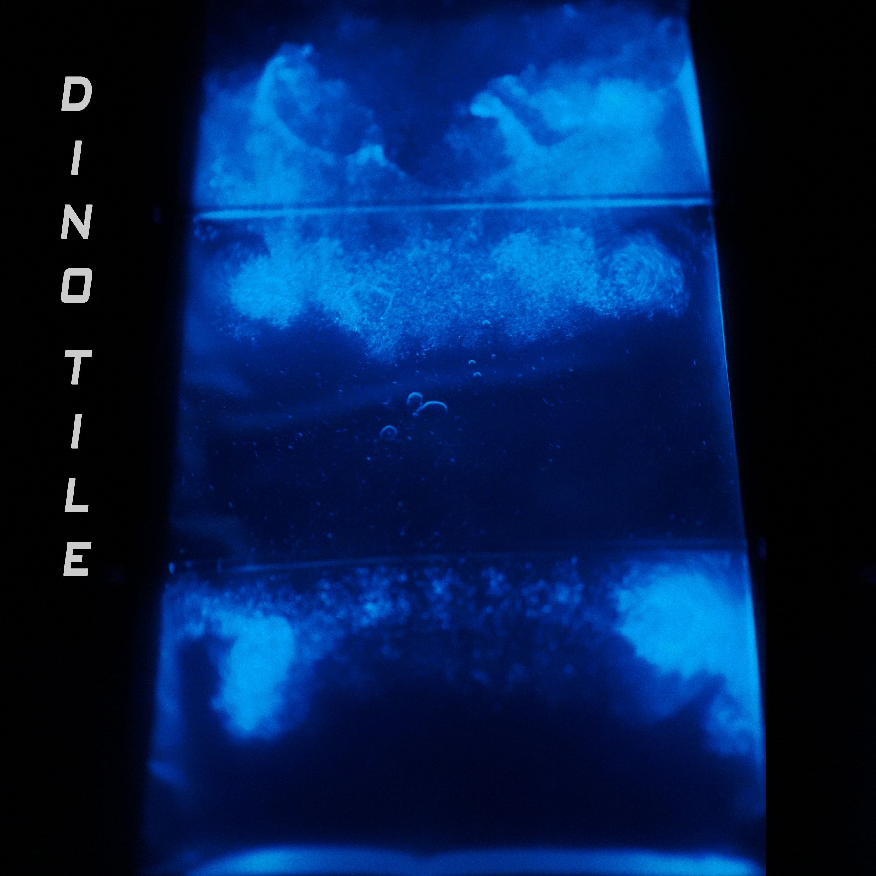 Blue glowing PyroDinos in a clear container with 'Dinotile' branding on a black background