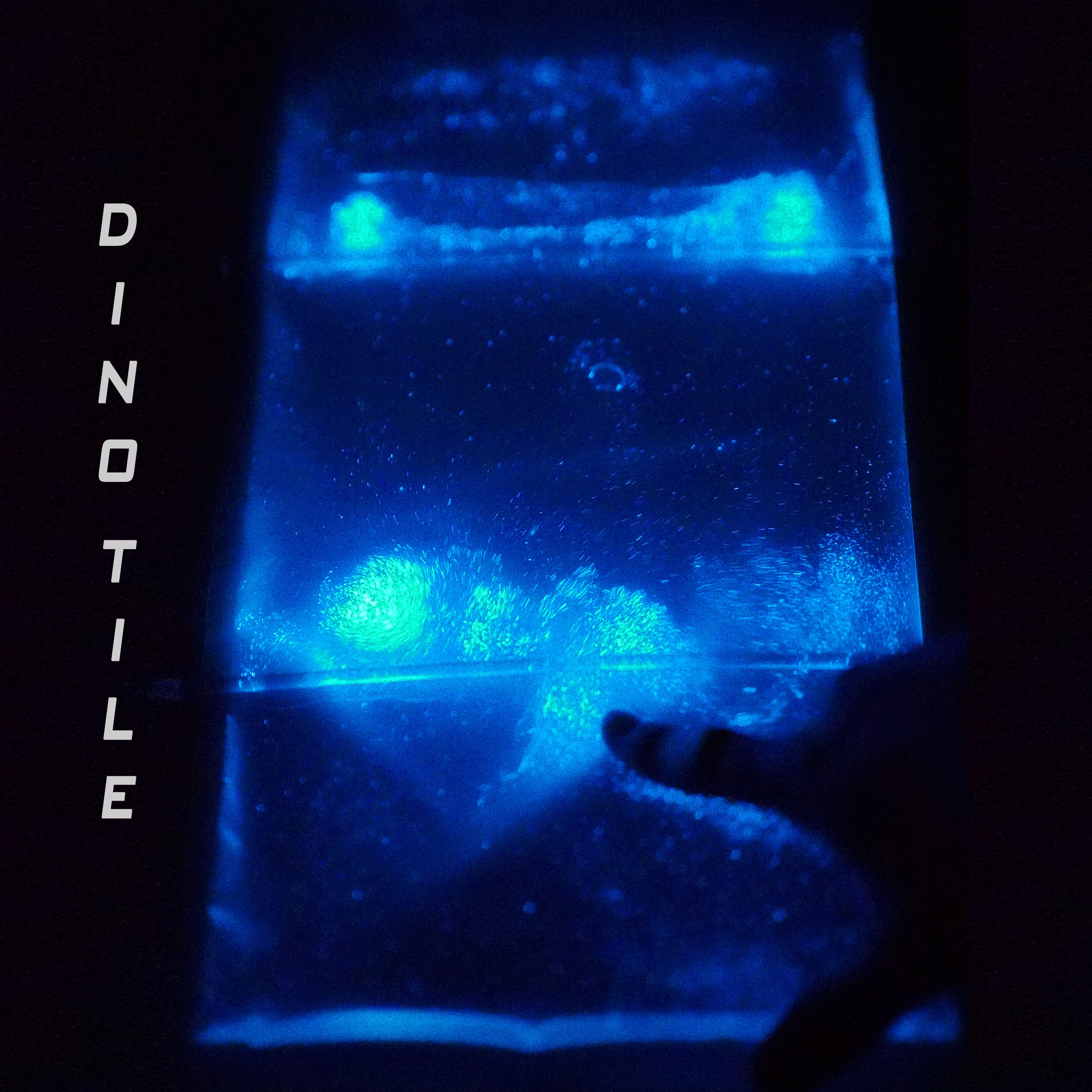 🌊 GlowTide: 1L Living Bioluminescent Algae (PyroDinos) Grow Your Own Ocean Light Show