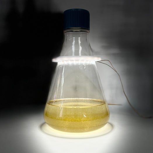 Bio-Bulb Kit : Grow your own Bioluminescent Algae Kit (Dino pet / Pyrodinos)