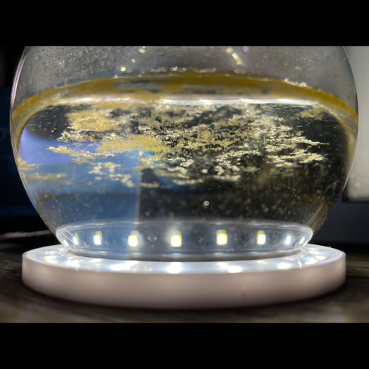 Bioluminescent Bio-Orb with PyroDinos (bioluminescent plankton)