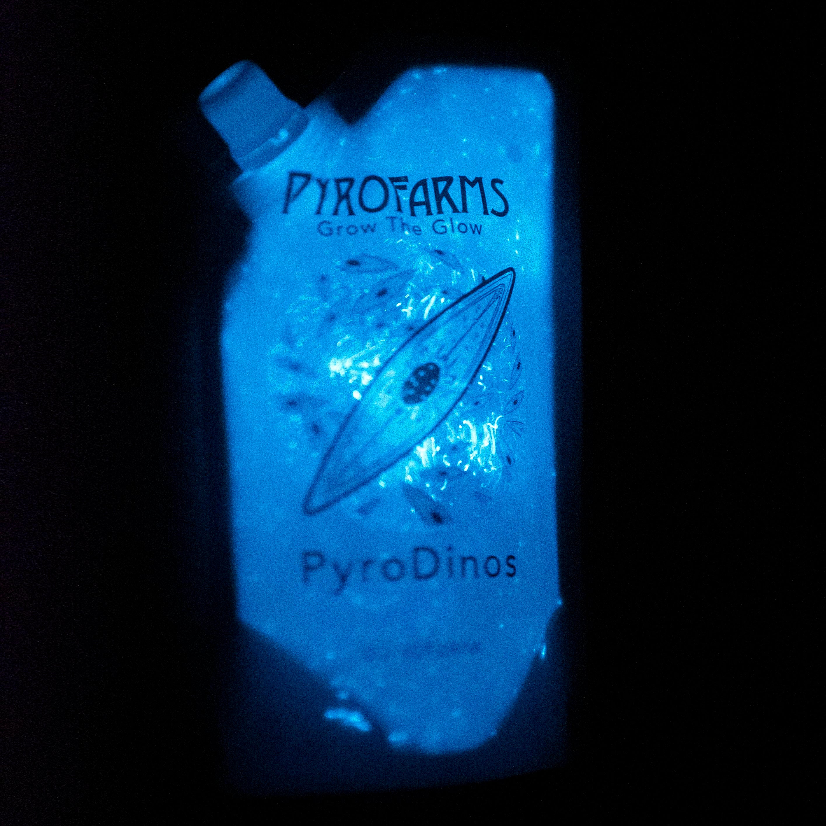 PyroDinos in the PyroFarms spout pouch at night bioluminescence 