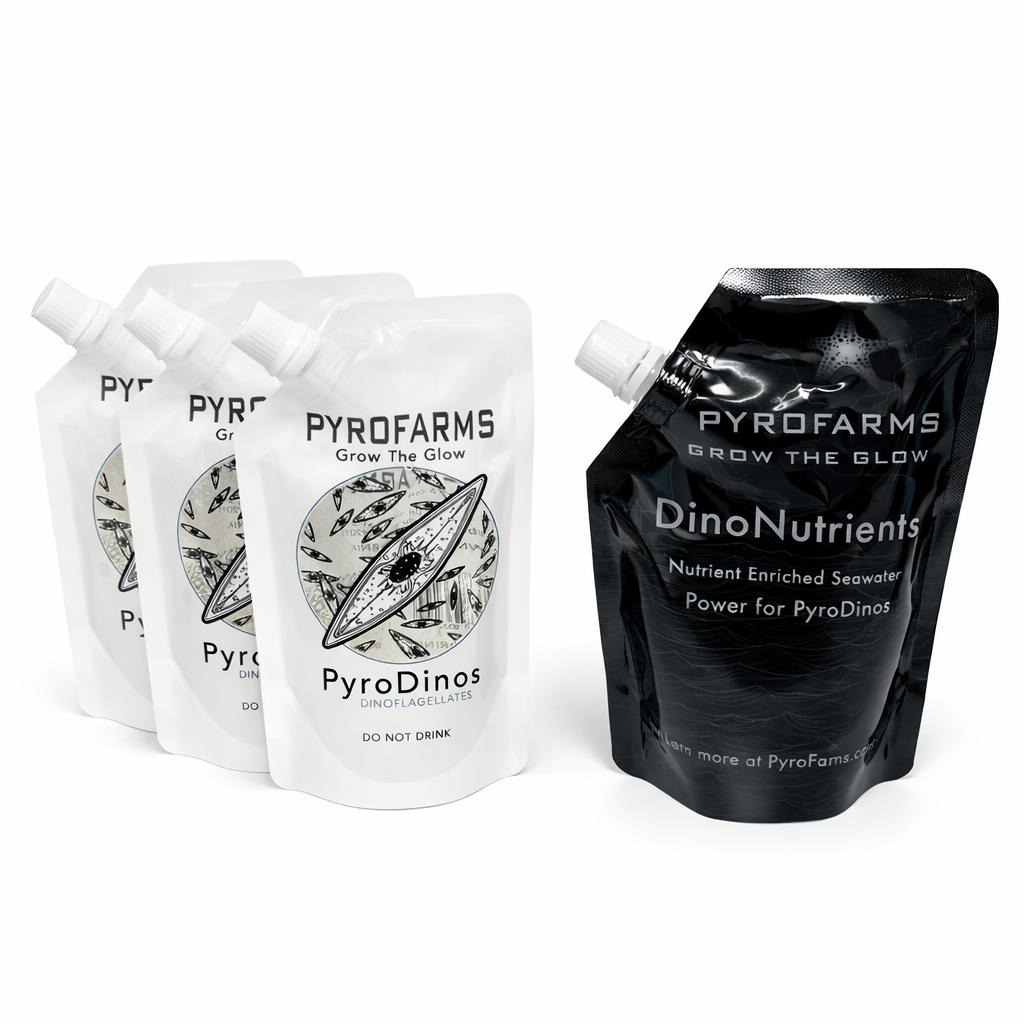 Complete PyroDino Care Bundle