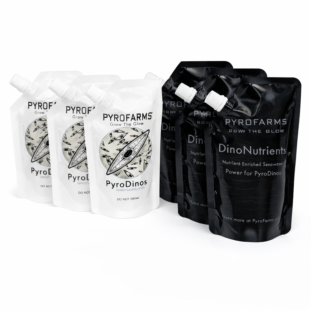 Complete PyroDino Care Bundle